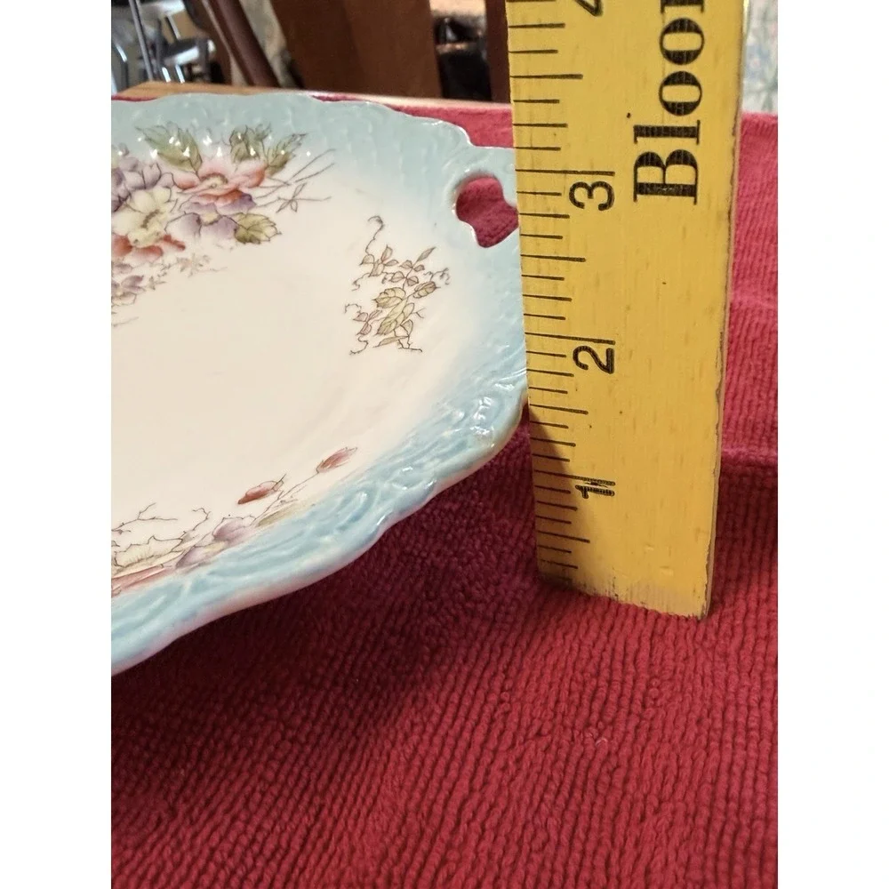 Antique Floral Cake Plate Aqua Blue Embossed Rim Pink Wild Roses 10